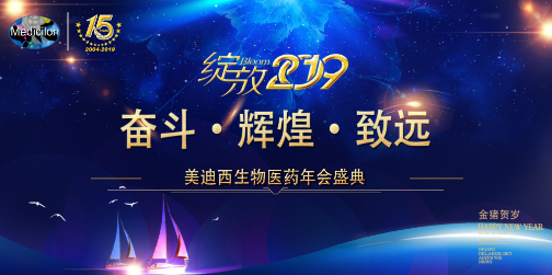 k8凯发国际喜迎2019年会盛典