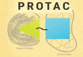 热点前沿:PROTAC初露锋芒，SD-36对抗肿瘤效果卓越