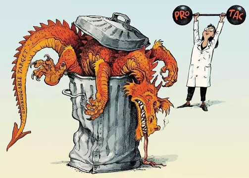 聚焦PROTAC：Make“Undruggable”TargetsDrugable