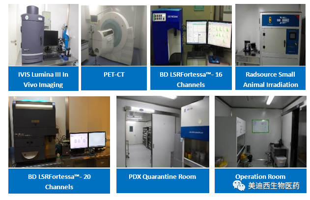 k8凯发国际药理部拥有IVIS Lumina III, PET-CT, BD LSRFortessa-16, Flow Cytometry等仪器，给予符合申报，支持临床试验的药效评价服务。