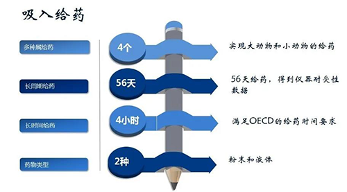 k8凯发国际吸入给药安全性评价服务