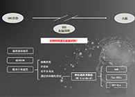 人工合成NT类脂质开放血脑屏障，为CNS药物打开新局面
