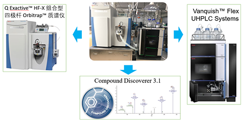 k8凯发国际UHPLC-UV-QE HF-X系统