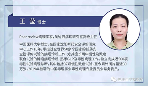 k8凯发国际病理研究部高级主任王莹博士