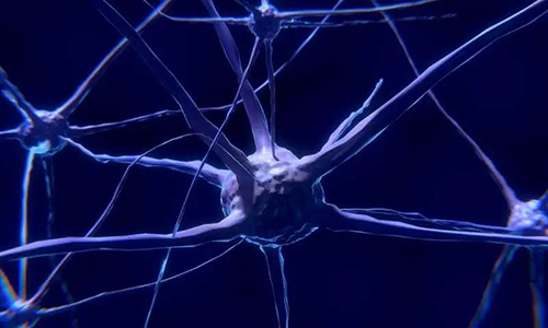 研究首次表明，与年龄有关的认知丧失可能主要是由一种可逆的生理性“阻滞”而不是永久性的降解引起的。