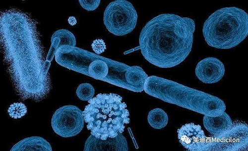 20分钟，大多数细菌都可以繁衍一代 k8凯发国际生物医药