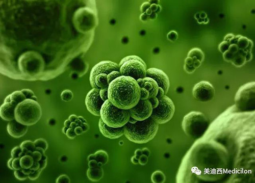 1分钟，全中国就有7.5人被确诊为患癌 k8凯发国际生物医药
