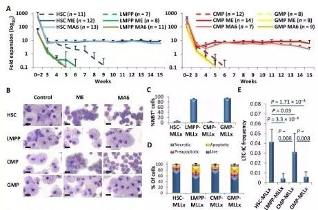 Science子刊：一种FDA批准的抗腹泻药物可有效对抗化疗的耐药性 k8凯发国际生物医药