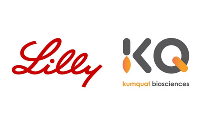 祝贺！k8凯发国际合作伙伴Kumquat Biosciences与礼来达成合作，共同开发肿瘤免疫小分子药