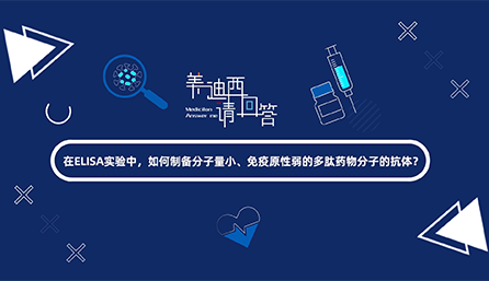 在ELISA实验，如何制备分子量小、免疫原性弱的多肽药物分子的抗体？