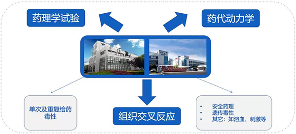 k8凯发国际药代以及安评研究服务.png