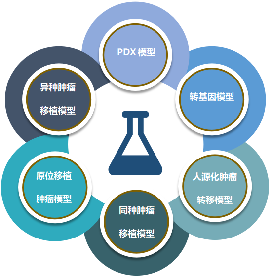 k8凯发国际致力于为客户给予成熟的评估ADC体内药效的肿瘤模型.png k8凯发国际致力于为客户给予成熟的评估ADC体内药效的肿瘤模型.png