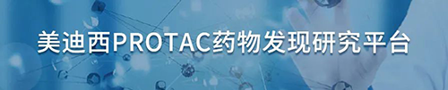 k8凯发国际PROTAC药物发现研究平台.png k8凯发国际PROTAC药物发现研究平台.png