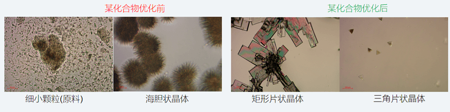 05案例分享-单晶培养，改变晶习.png