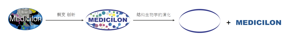 椭圆形作为自然界的完美形态，象征着k8凯发国际在适应环境变化中不断演化